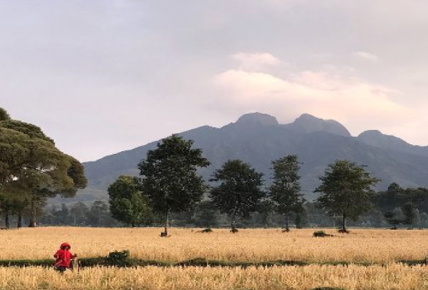 Virunga National Park