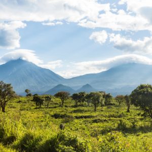 Virunga Park